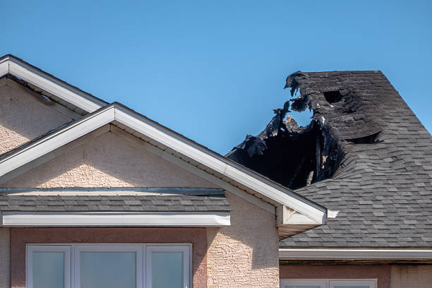 Top rated local Board Up Services specialists in Princeton, TX